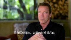 阿诺视频爆料最新官网,官网揭秘惊人内幕