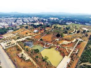 海南儋州爆料新闻最新,事件详情引关注  第3张