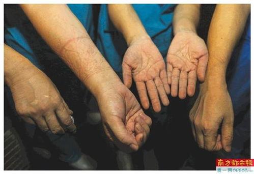 手的痕迹 在线观看,探寻历史与现实的痕迹奥秘  第2张